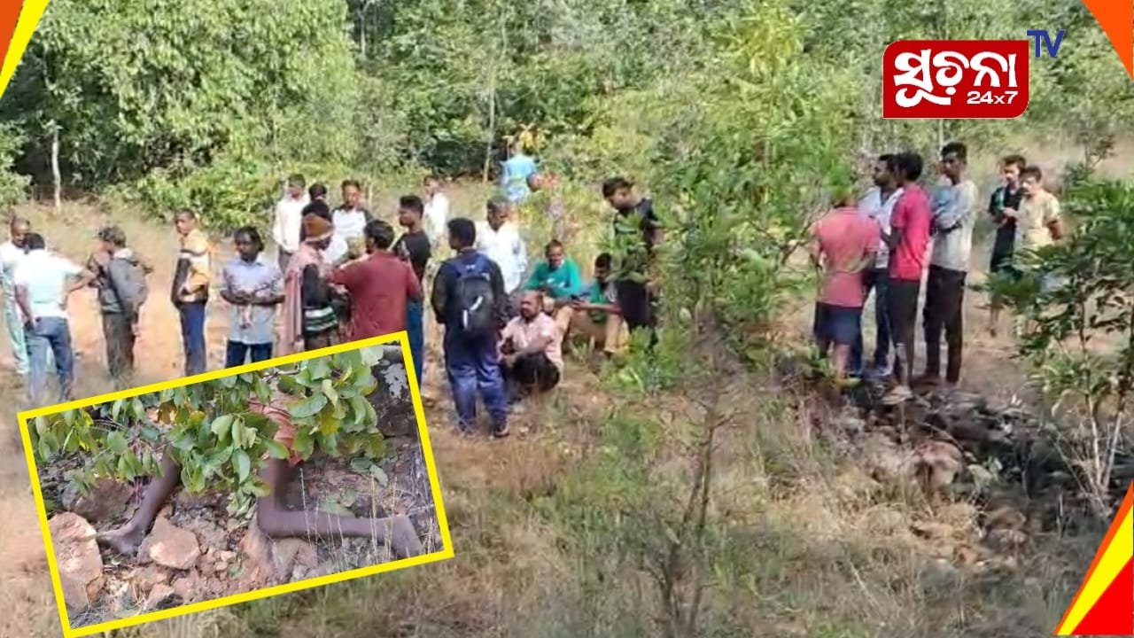 ପୁଣି ଏକ ବୃଦ୍ଧଙ୍କ ଜୀବନ ନେଲା ଦନ୍ତା