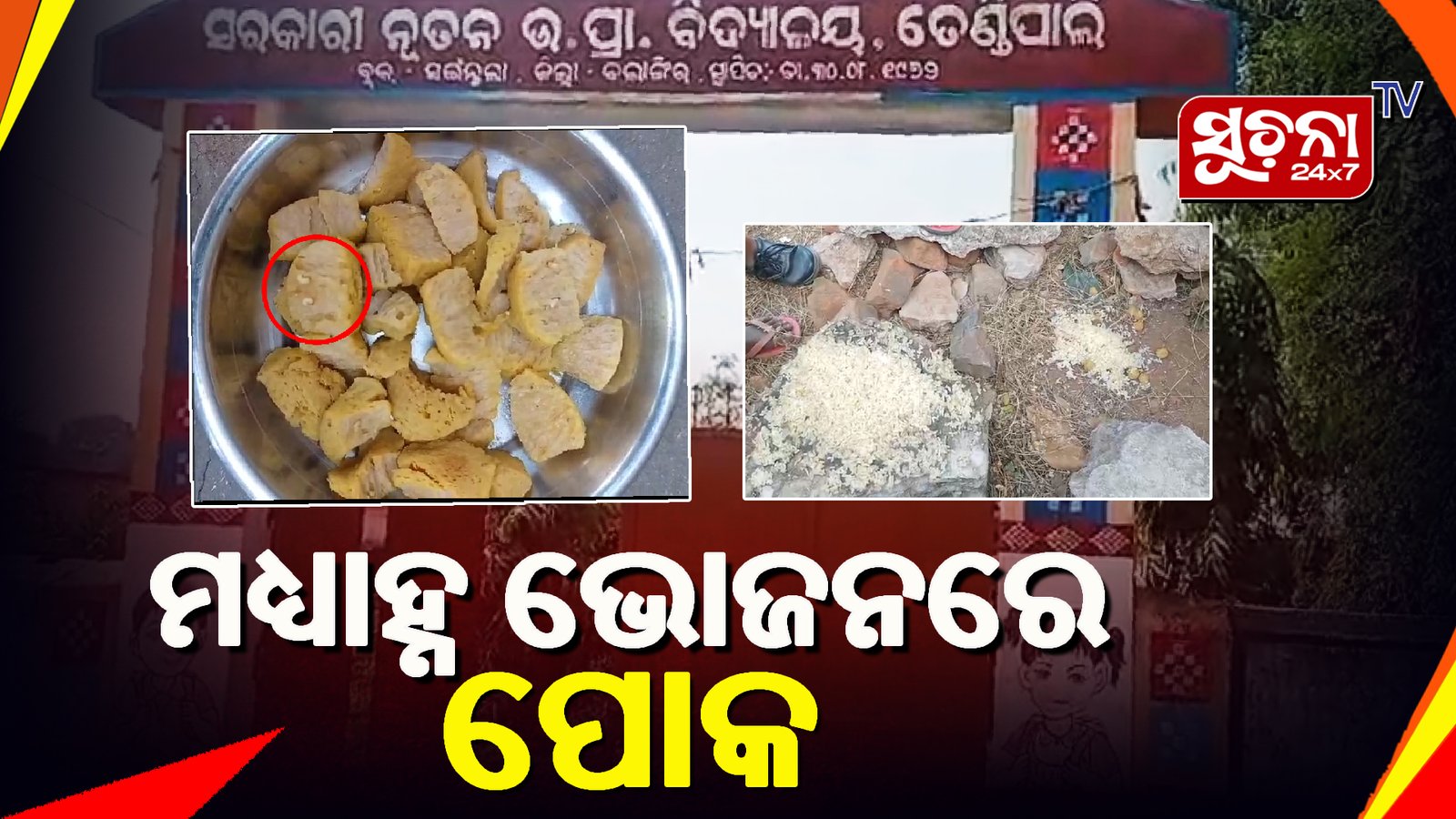 ପାଣିଆ ଡାଲି, ପୋକ ସୋୟାବିନରେ ସ୍କୁଲରେ ଚାଲିଛି ମଧ୍ୟାହ୍ନ ଭୋଜନ