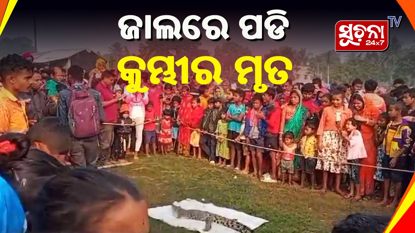 ମହାପଦା ନଦୀରେ ୪ ଫୁଟର କୁମ୍ଭୀର ଜାଲରେ ପଡି ମୃତ୍ୟୁ