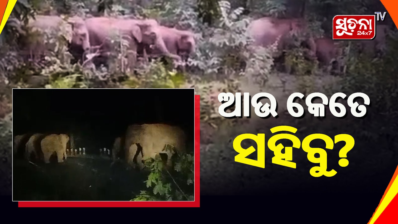 ଦେବଗଡ଼ରେ ଥମୁନି ହାତୀ ଉତ୍ପାତ