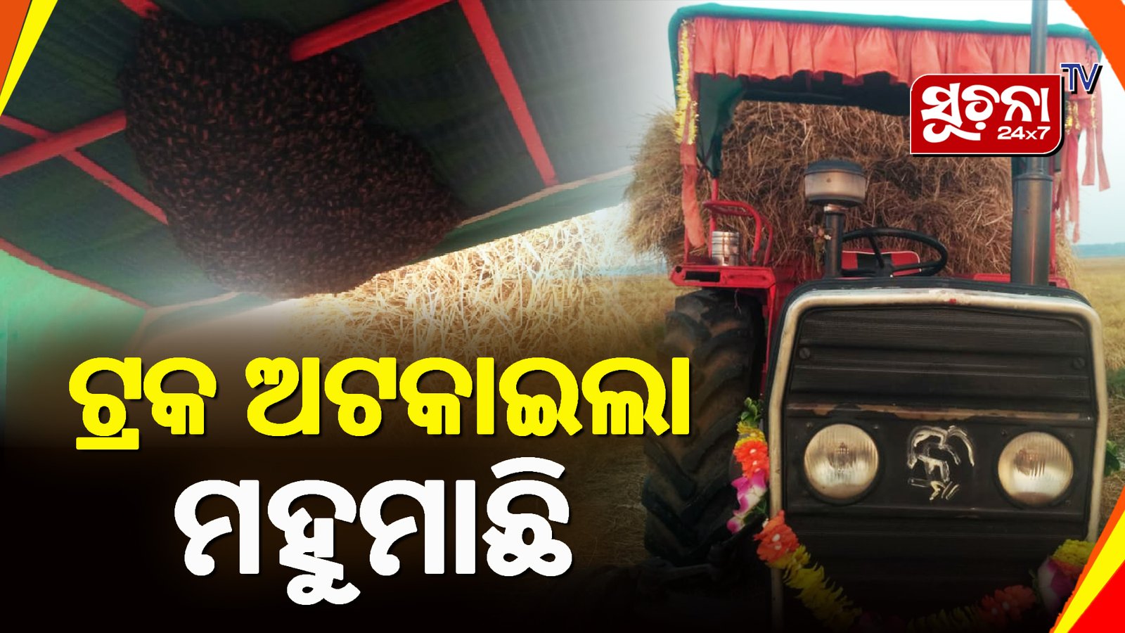 ୧୨ ଘଣ୍ଟା ଧାନ ବୋଝେଇ ଟ୍ରାକ୍ଟରକୁ ଅଟକ ରଖିଲା ମହୁମାଛି