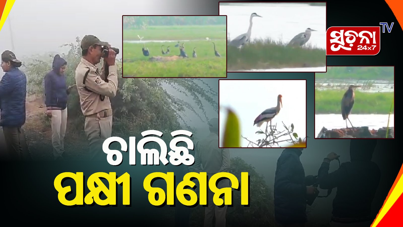 ପିପିଏଲ କାରଖାନା ସମେତ ୪ଟି ସ୍ଥାନରେ ପକ୍ଷୀ ଗଣନା ଆରମ୍ଭ