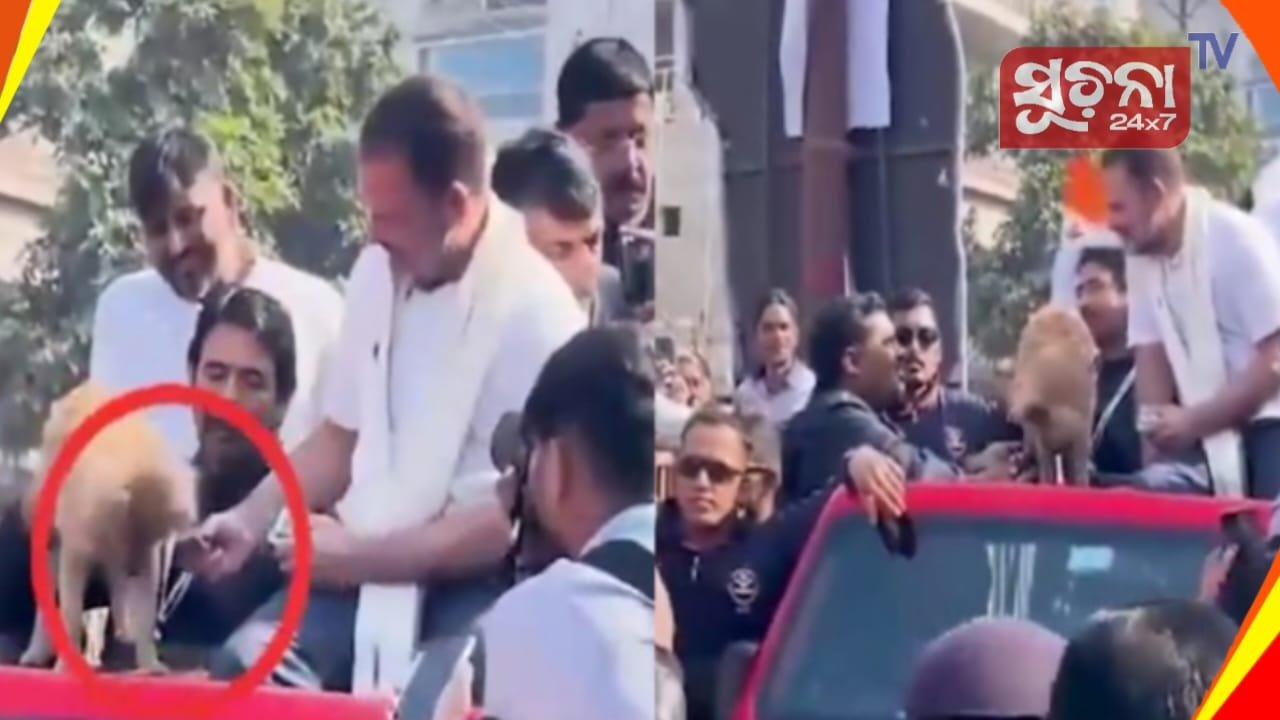 ରାହୁଲ ଗାନ୍ଧୀ ପ୍ରଥମ ବିସ୍କୁଟ କୁକୁରର ପାଟିରେ ଲଗାଇଲେ, ତା’ପରେ କଂଗ୍ରେସ କର୍ମୀଙ୍କୁ ଖାଇବାକୁ ଦେଲେ: ଆସାମ ମୁଖ୍ୟମନ୍ତ୍ରୀ କହିଲେ ଏହି କାରଣରୁ ଛାଡିଥିଲି ଦଳ