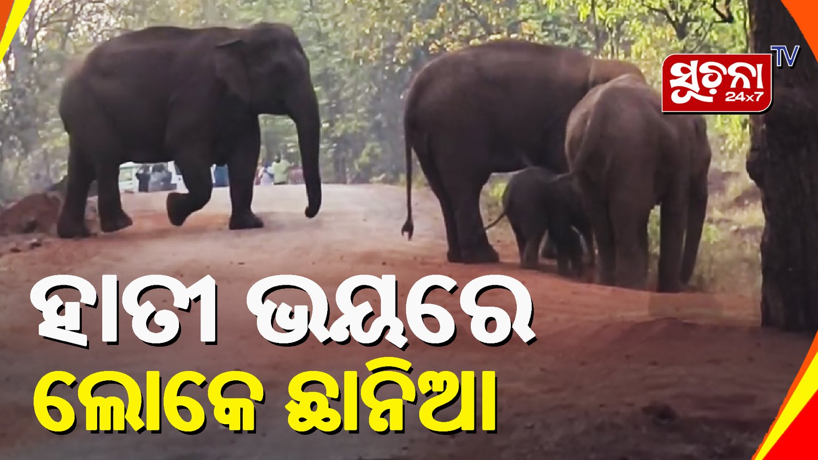 ଦୁଇ ଘଣ୍ଟା ଛକରେ ଡେରା ପକାଇଲେ ହାତୀପଲ