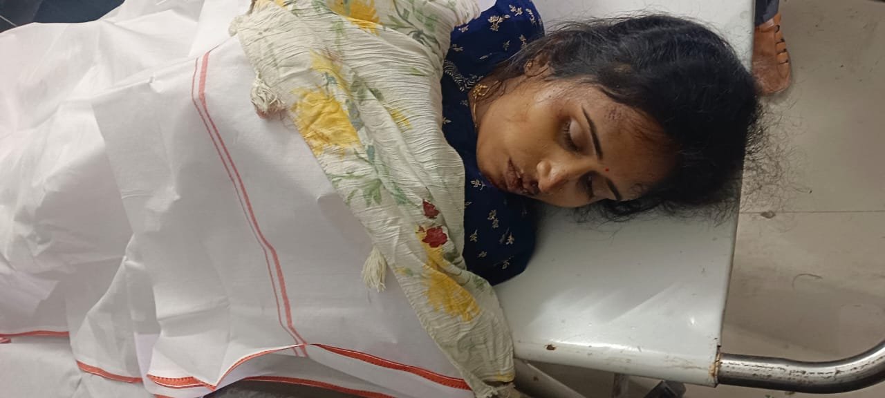 ଅଫିସରୁ ଫେରୁଥିବା ବେଳେ ପଛରୁ ପିଟିଲା ଟ୍ରକ, ଚାଲିଗଲା ମହିଳାଙ୍କ ଜୀବନ