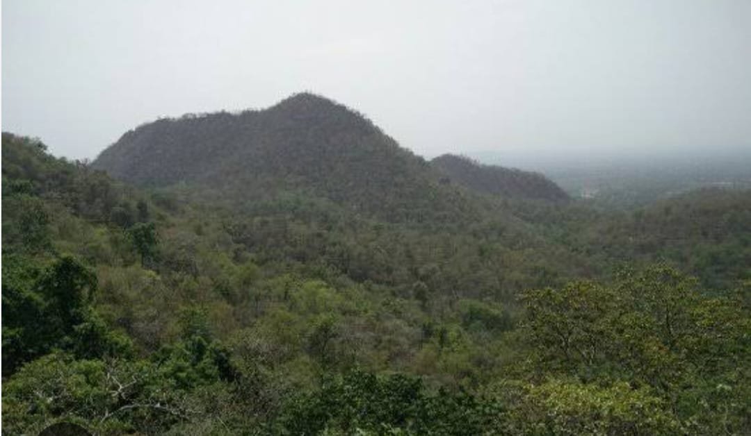 ମାଓବାଦୀ ଓ ପୋଲିସ ଗୁଳି ବିନିମୟ