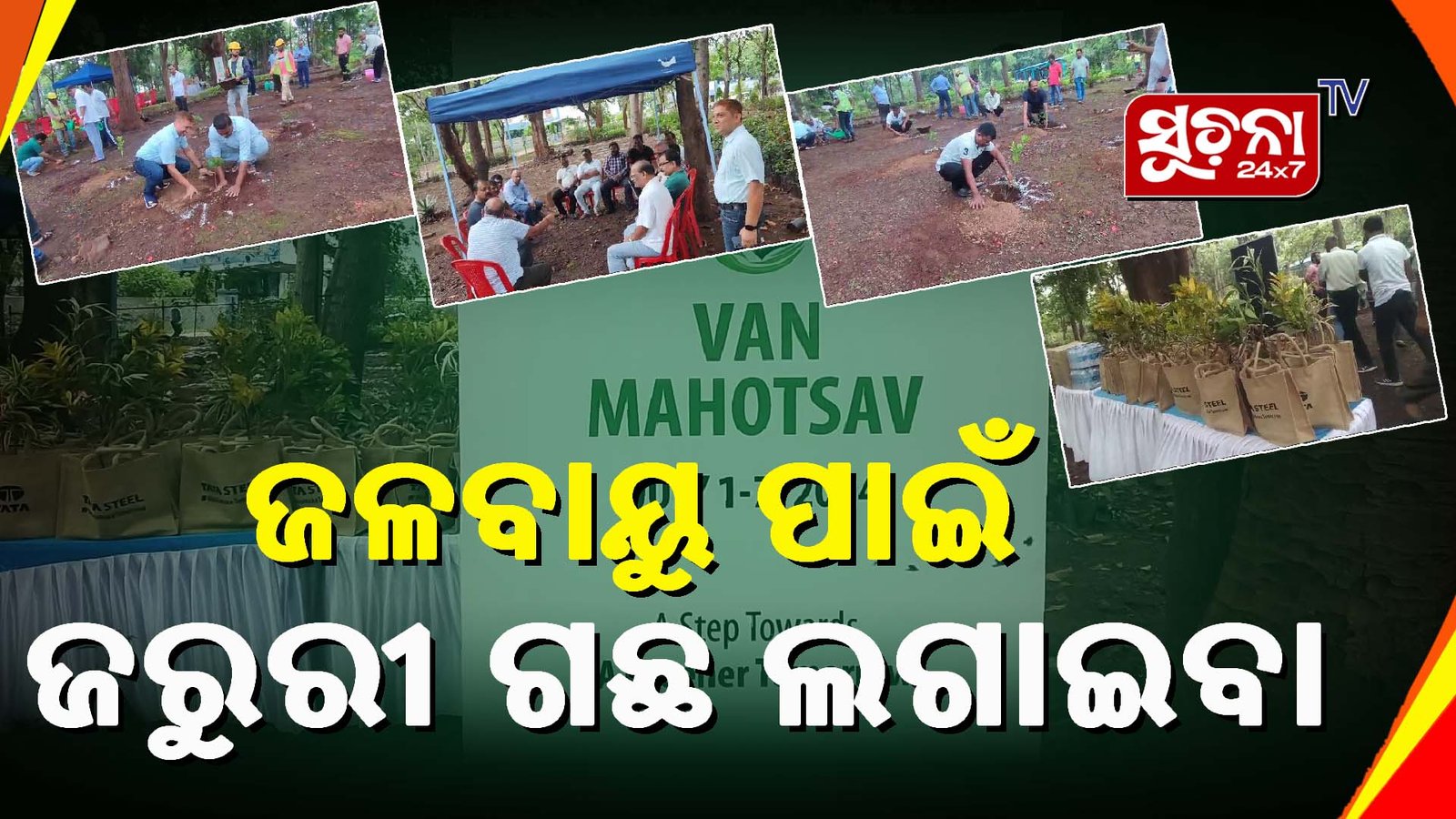 ବାଲିଗୁଡା ରେ ବନମହୋତ୍ସବ ପାଳନ