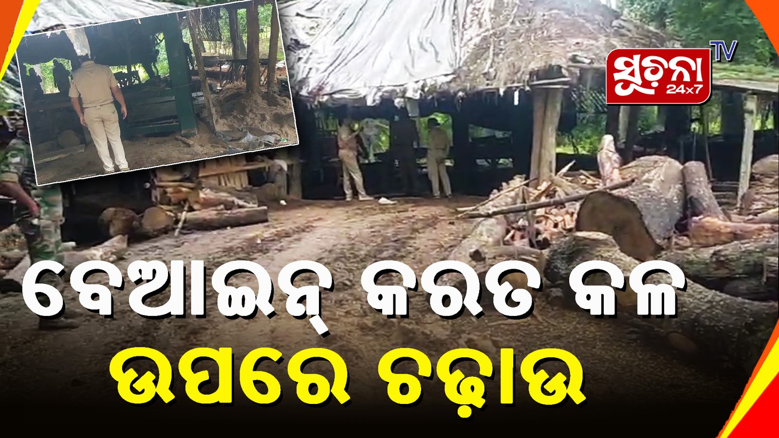 ଲୁଚାଛପାରେ ଚାଲିଥିଲା କରତ କଳ, ମାଡି ବସିଲା ବନ ବିଭାଗ