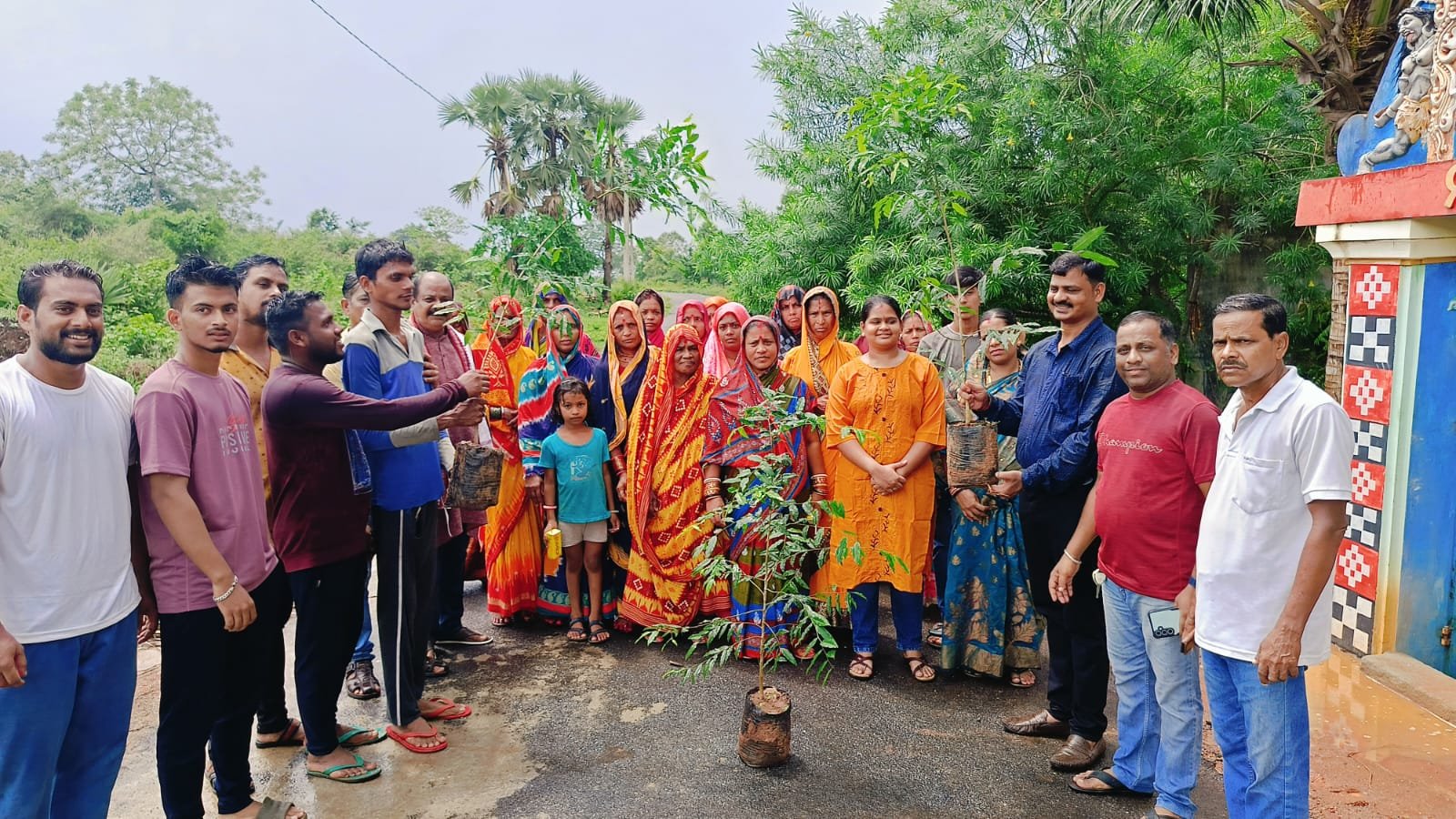 ରଥଯାତ୍ରାରେ ସାଂସଦ ଓ ବିଧାୟକଙ୍କ ବୃକ୍ଷ ରୋପଣ