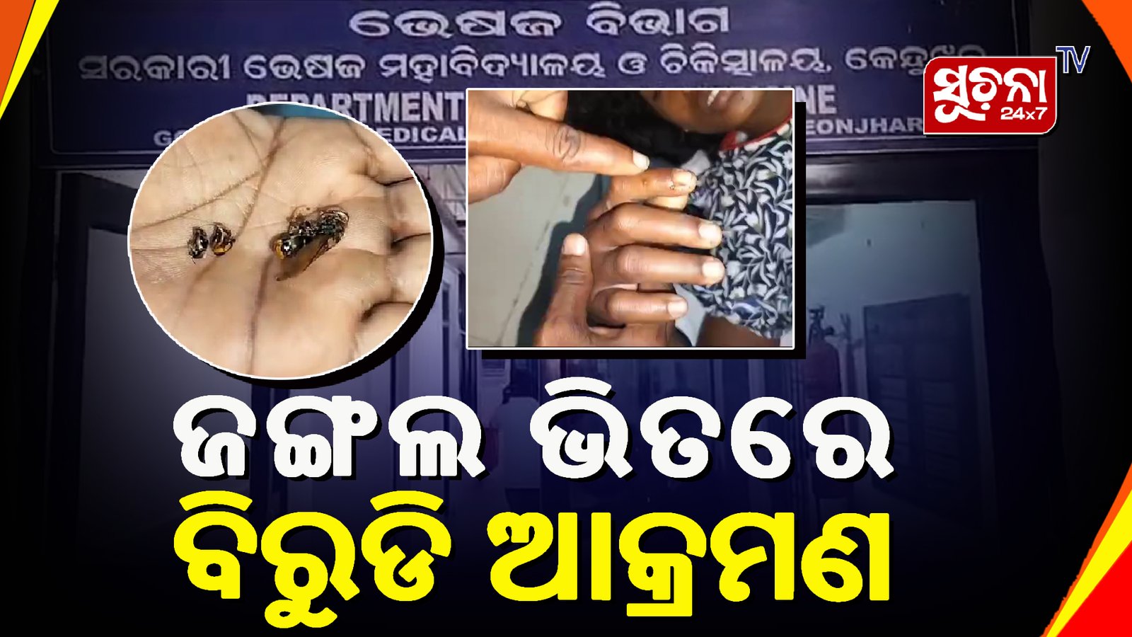 କାଶିଆ ଅଞ୍ଚଳରେ ଅଘଟଣ, ବିରୁଡି ଆକ୍ରମଣରେ ଜଣେ ମୃତ ୨ ଗୁରୁତର