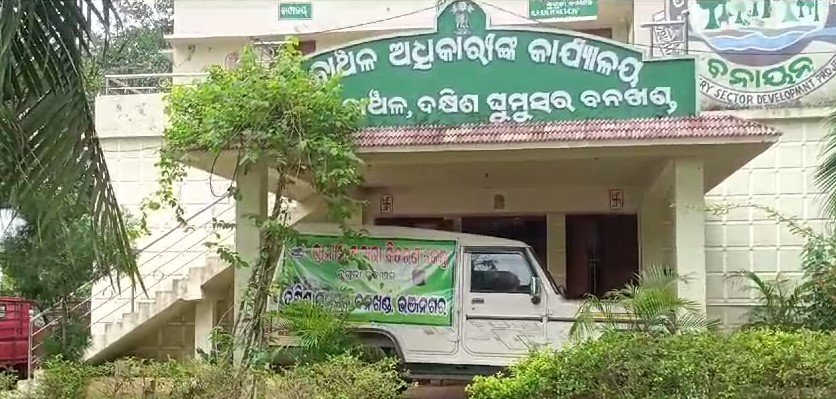 କେଉଁ ଯାଏଁ ଲମ୍ବିଛି ମାଫିଆଙ୍କ ଚେର ,ତଦନ୍ତ କରୁଛି ବନବିଭାଗ