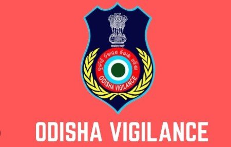 ଭିଜିଲାନ୍ସ ଜାଲରେ ଜଙ୍ଗଲୀ ବାବୁ