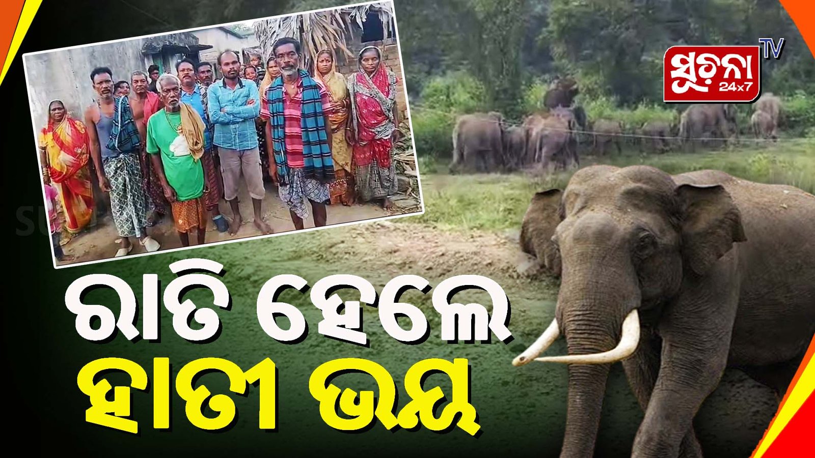 ଥମୁନି ହାତୀ ଆତଙ୍କ, ରାତି ହେଲେ ହାତୀ ଭୟ, ନିରବ ଦ୍ରଷ୍ଟା ବନବିଭାଗ