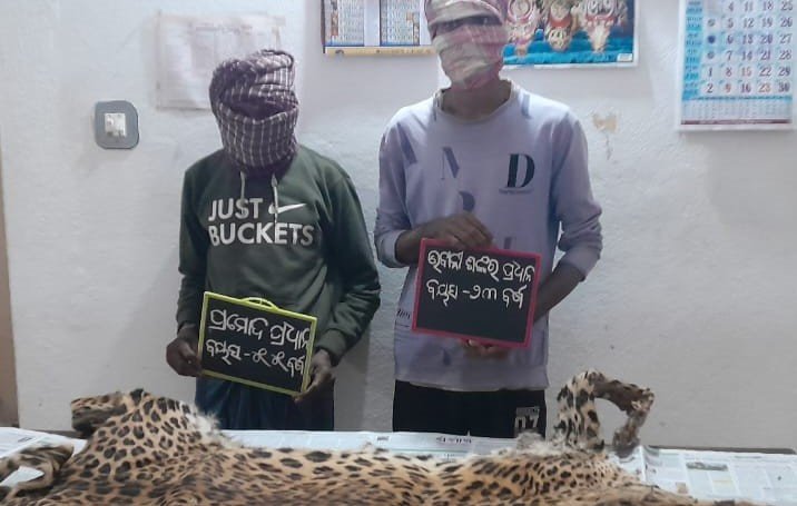 ବାଘଛାଲ ସହ ୨ ଶିକାରୀ ଗିରଫ