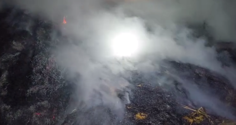 ଦଶ ଏକର ଧାନ ନିଆଁରେ ପୋଡ଼ି ପାଉଶଁ