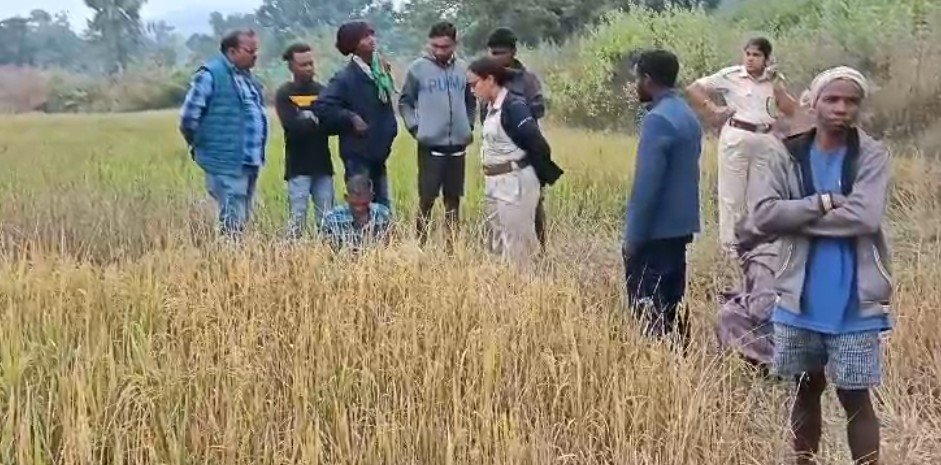 ଧାନ ବିଲରୁ ମିଳିଲା ମୃତ ଦେହ, ହତ୍ୟା ସନ୍ଦେହ