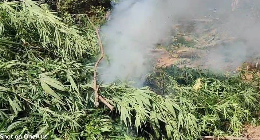 ଗଞ୍ଜେଇ ମାଫିଅ।କୁ ପ୍ରୋତ୍ସାନ ଦେଇ ଫସିଲେ ପୁଲିସ ବାବୁ