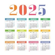 ସ୍ୱାଗତ ୨୦୨୫, ବିଦାୟ ୨୦୨୪: ସମଗ୍ର ବିଶ୍ୱରେ ଏହିପରି ପାଳନ କରୁଛନ୍ତି