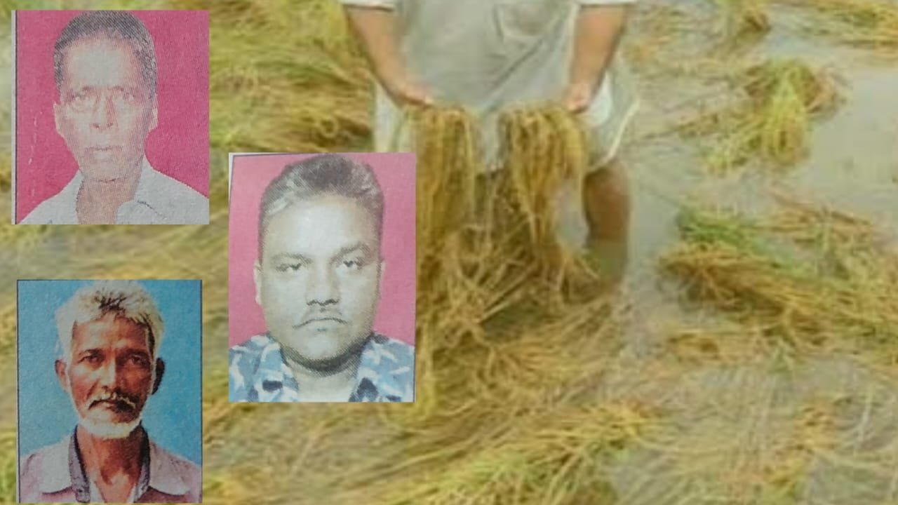 ଗୋଟିଏ ଦିନରେ ଜୀବନ ହାରିଲେ ତିନି ଚାଷୀ,ବିଲରେ ଜଗି ବସିଥିଲା ଯମ