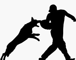 ସାବଧାନ! ଆପଣ ବାହାରେ ଅଛନ୍ତି କି? ତୁରନ୍ତ ପଳାନ୍ତୁ ଘରକୁ