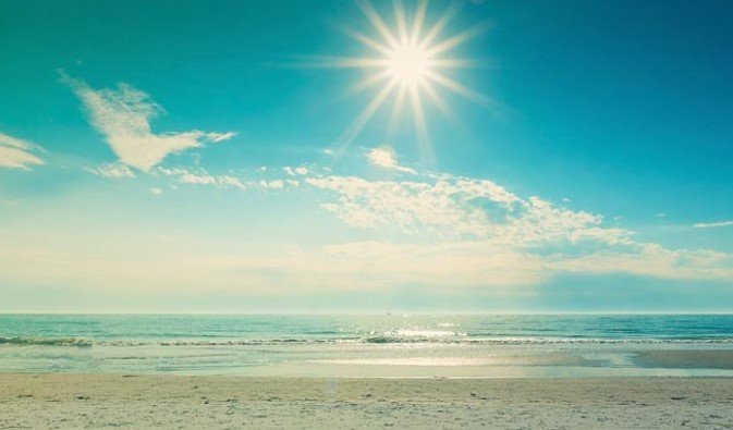 ଫୁଲ ଶୀଘ୍ର ଫୁଟିଗଲା, ପକ୍ଷୀମାନେ ମଧ୍ୟ ଆଶ୍ଚର୍ଯ୍ୟ… ଫେବୃଆରୀରେ ଏପ୍ରିଲ୍ ପରି ଗରମ, କୁଆଡେ ଗଲା ବସନ୍ତ?