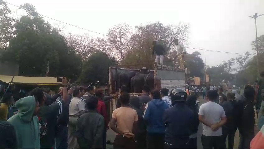 ମଇଁଷି ଚୋରାଚାଲାଣ ବେଳେ ପିକଅପ ଭ୍ୟାନ ଜବତ