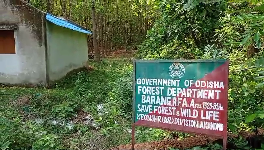 ଭାଲୁ ଆକ୍ରମଣରେ ଜଣେ ଗୁରୁତର, ଦୁଇ ଆହତ