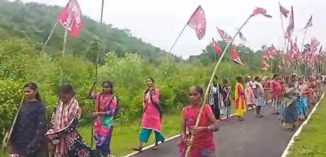 ଜଙ୍ଗଲ ଜମି ଆମର