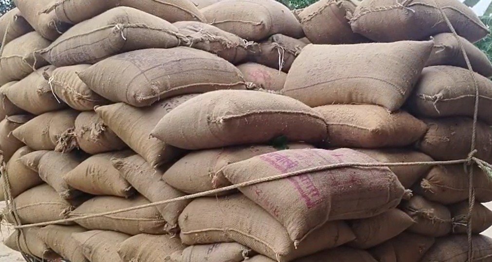 ଧାନକିଣା ପ୍ରହସନ, ମଣ୍ଡିରେ ଚାଲିଛି ମିଲରଙ୍କ ଜୁଲୁମ