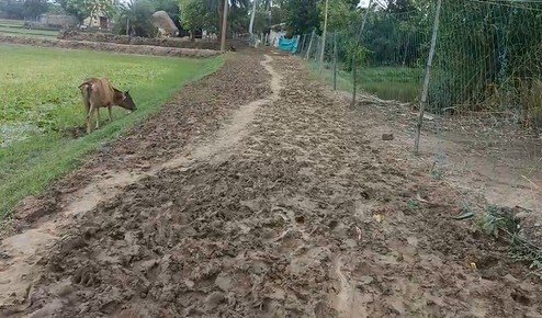 ସ୍ୱାଧୀନତାର ୭୭ ବର୍ଷ ପରେ ବି ସ୍ବପ୍ନ ପାଲଟିଛି ରାସ୍ତା