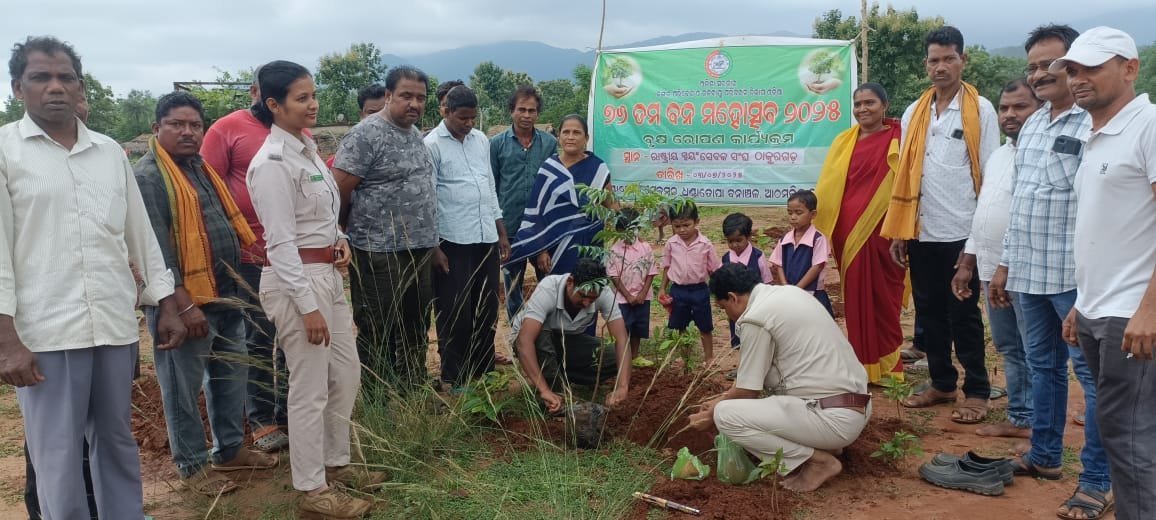 ବିଜେପି ପକ୍ଷରୁ ଚାରା ରୋପଣ