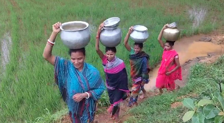 ଜମି ହିଡ ସାଜିଛି ଲୋକଙ୍କ ରାସ୍ତା, ଅଵ୍ୟଵସ୍ଥିତ ବ୍ୟବସ୍ଥାରେ ଝାପିଗୁଡା ଗାଁ