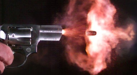 ଏଲଭିଶଙ୍କ ଘରେ ଗୁଳିମାଡ