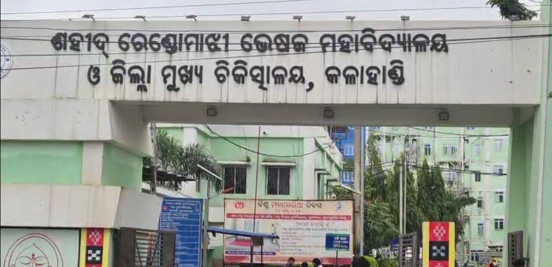 ଭାଲୁ ଆକ୍ରମଣରେ ବୃଦ୍ଧ ଗୁରୁତର