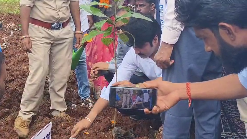 ଅମ୍ଳଜାନର ମୂଳମନ୍ତ୍ର ବୃକ୍ଷ