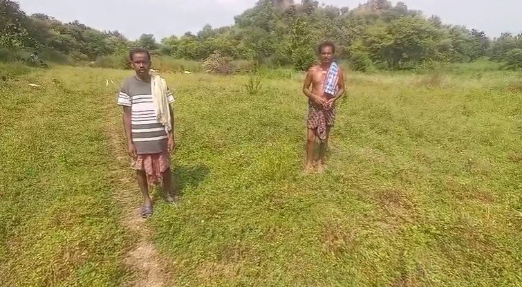 ବାରହା ଆତଙ୍କରେ ଚାଷୀ