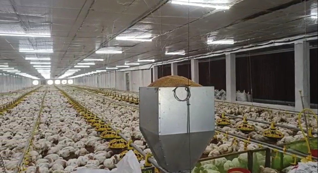 କୁକଡ଼ା ଫାର୍ମ ମାଲିକଙ୍କ ସନ୍ଦେହ ଜନକ ମୃତ୍ୟୁ