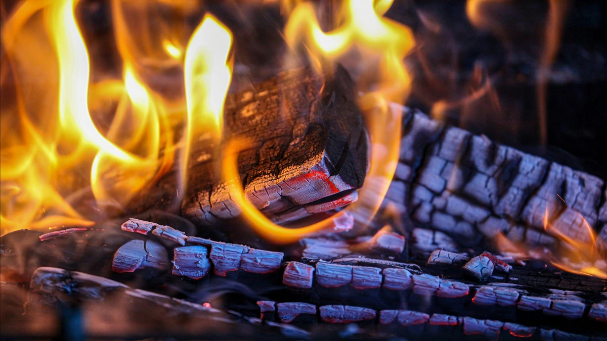 ଘରେ କାଠ କିମ୍ବା କୋଇଲା ଜାଳୁଛନ୍ତି କି ହୋଇଯାଆନ୍ତୁ ସାବଧାନ