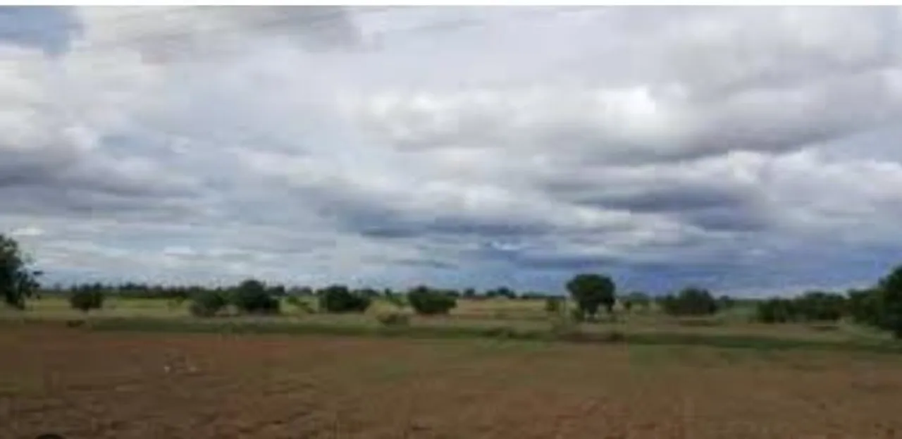 ରାଜସ୍ଵ ବିଭାଗ ଜାରି କଲା ନୂତନ SOP