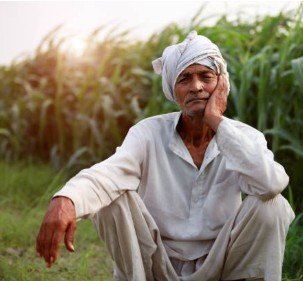 ମଣ୍ଡିରେ ଅଟକିଲା ହଜାର କୁଇଣ୍ଟାଲ ଧାନ: ଟୋକନ୍ ପାଇ ମଧ୍ୟ ଅପେକ୍ଷାରେ ଚାଷୀ, ଧାରଣାରେ ସମର୍ଥନ ଦେଲା ବିଜୁ ଜନତା ଦଳ