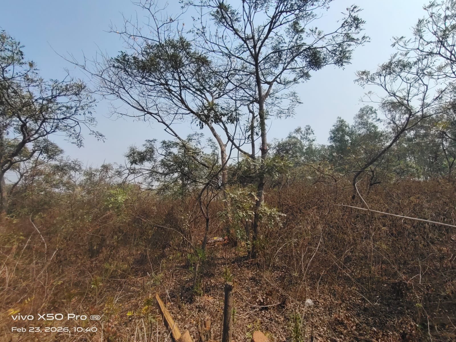 ମୟୂରଭଞ୍ଜରେ ରହସ୍ୟଜନକ ମୃତ୍ୟୁ,କଣ୍ଟାବଣି ଜଙ୍ଗଲରୁ ଅଚିହ୍ନା ଯୁବକଙ୍କ ମୃତଦେହ ଉଦ୍ଧାର