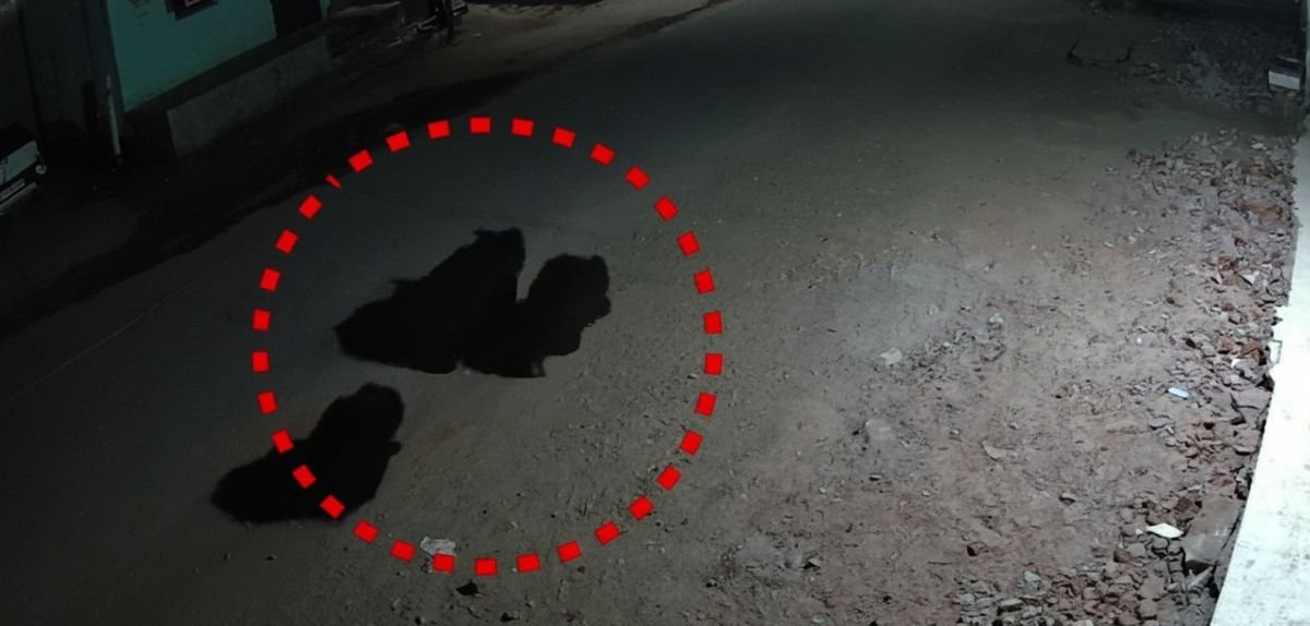 ଭାଲୁ ଭୟରେ ଗାଁ ଥରହର, ରାତି ହେଲେ ବାହାରୁନାହାଁନ୍ତି ଲୋକେ